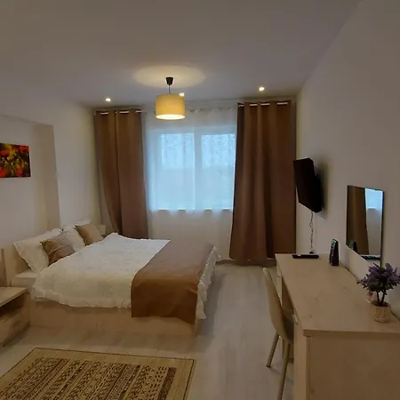 Teo Rin Grand 公寓 布加勒斯特